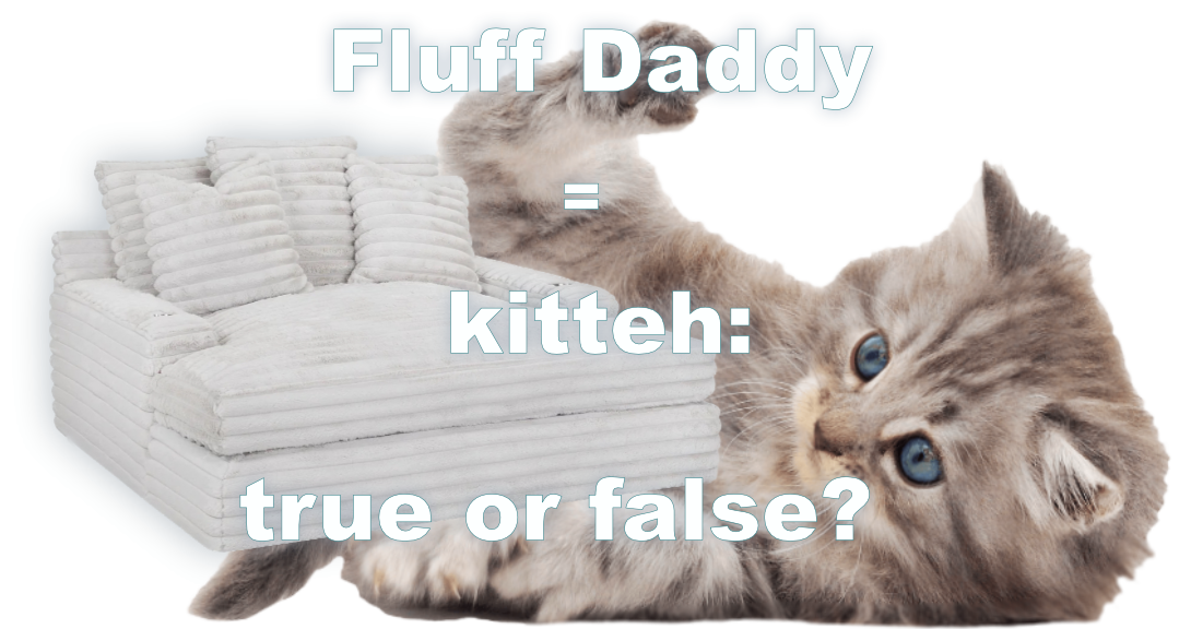 fluffy daddy chair is kitty